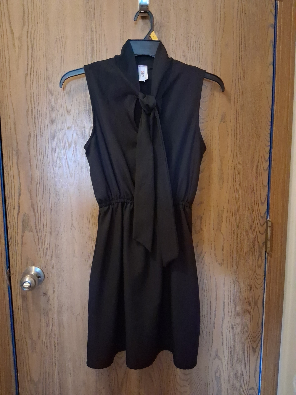 Tie-Neck Sleeveless Mini Dress in Black
